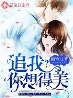 《追我？你想得美！》小说封面