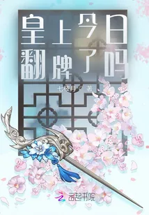 《皇上今日翻牌了吗》小说封面