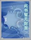 《太古葬天决》小说封面