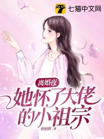《离婚夜，她怀了大佬的小祖宗》小说封面