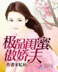 《极品闺蜜傲娇夫》小说封面