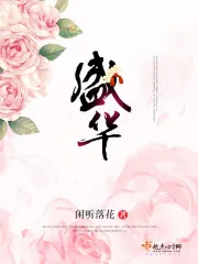 《盛华》小说封面