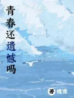 《青春还遗憾吗》小说封面