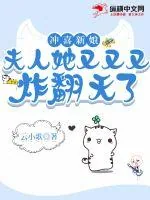 《冲喜新娘：夫人她又又又炸翻天了》小说封面