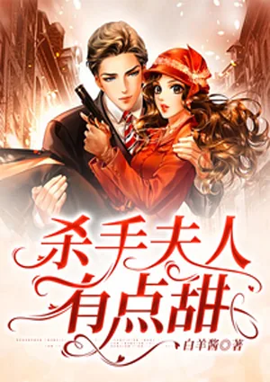 《杀手夫人有点甜》小说封面