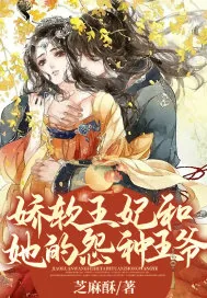 《娇软王妃和她的冤种王爷》小说封面