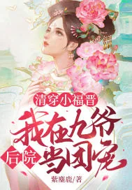 《清穿小福晋:我在九爷后院当团宠》小说封面