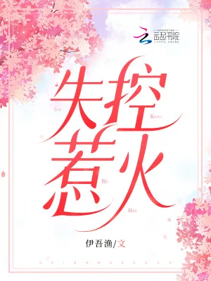 《失控惹火》小说封面