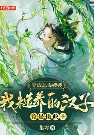 《穿成恶毒嫂嫂,我糙养的汉子竟是摄政王》小说封面