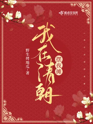 《我在清朝摆夜摊》小说封面