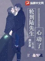 《轮到陆先生心动了》小说封面