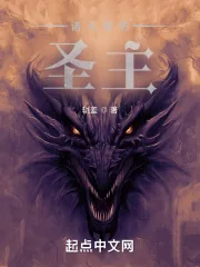 《诸天里的圣主》小说封面