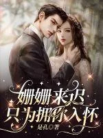 《姗姗来迟只为拥你入怀》小说封面