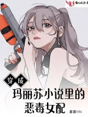 《穿成玛丽苏小说里的恶毒女配》小说封面