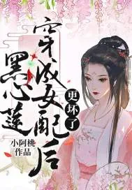 《黑心莲穿成女配后更坏了》小说封面