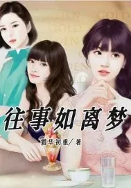 《往事如离梦》小说封面