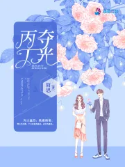 《丙夺丁光》小说封面