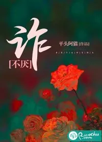 《不厌诈》小说封面
