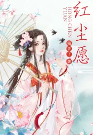 《红尘愿》小说封面