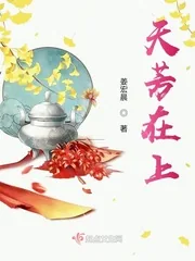 《天芳在上》小说封面