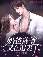 《奶爸薄爷又在追妻了》小说封面