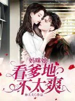 《妈咪她看爹地不太爽》小说封面