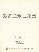 《紫罗兰永恒花园》小说封面