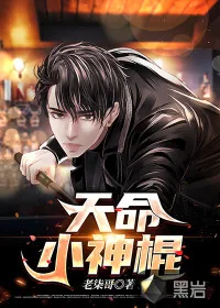 《天命小神棍》小说封面