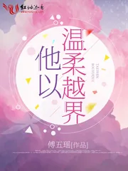 《他以温柔越界》小说封面