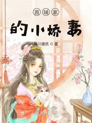 《首辅家的小娇妻》小说封面