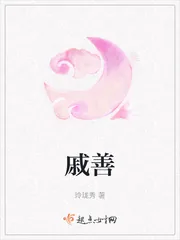 《戚善》小说封面