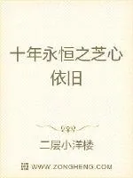 《十年永恒之芝心依旧》小说封面