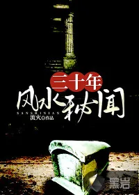 《三十年风水秘闻》小说封面
