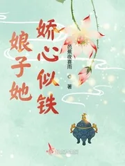 《娘子她娇心似铁》小说封面