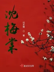 《沈梅棠》小说封面