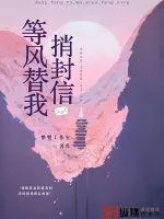 《等风替我捎封信》小说封面