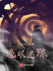 《诡眼迷踪》小说封面