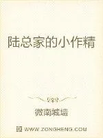 《陆总家的小作精》小说封面
