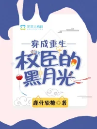 《穿成重生权臣的黑月光》小说封面
