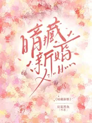 《暗藏新婚》小说封面