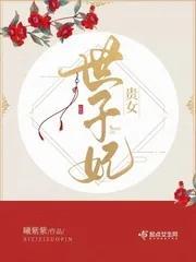 《贵女世子妃》小说封面