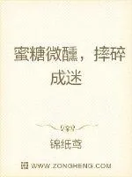 《捧把星星撒在你梨涡》小说封面