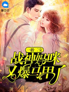 《虞思楠》小说封面