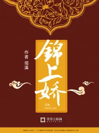 《锦上娇》小说封面