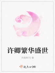 《许卿繁华盛世》小说封面