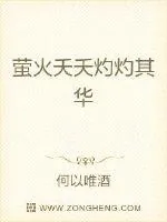 《萤火夭夭灼灼其华》小说封面