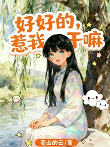 《好好的，惹我干嘛》小说封面