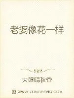 《老婆像花一样》小说封面