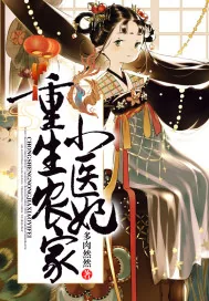 《重生农家小医妃》小说封面
