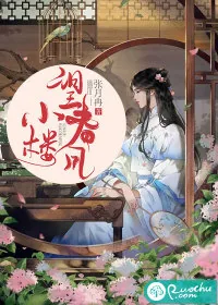 《小楼望春风》小说封面